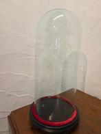 Globe - stolp - antiek - 1901-1920 - Antieke ronde stolp op, Antiek en Kunst