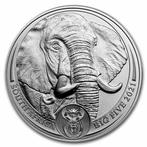 BIG 5 Elephant 1 oz 2021 (15.000 oplage), Zilver, Losse munt, Verzenden