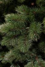 Tweedekans | Triumph Tree Camden Guirlande - L270 cm - Groen, Diversen, Kerst, Ophalen of Verzenden, Zo goed als nieuw