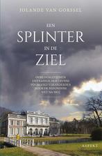 Een splinter in de ziel 9789464247053 Jolande van Gorssel, Boeken, Verzenden, Zo goed als nieuw, Jolande van Gorssel