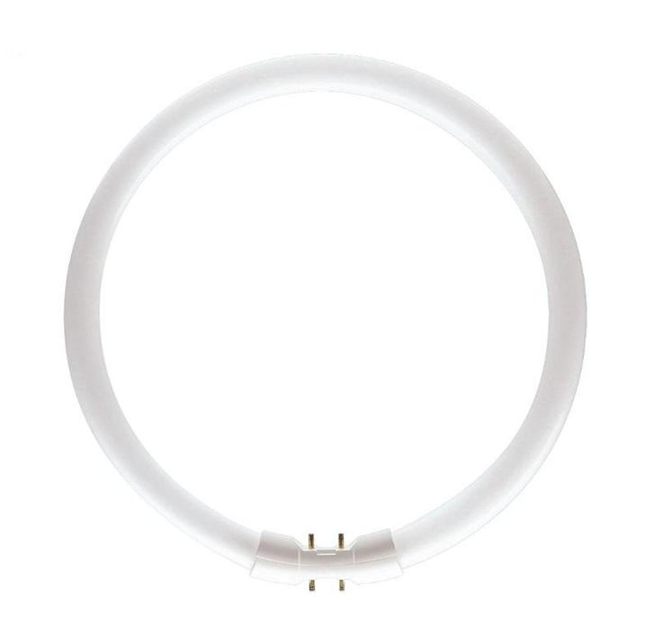 Traditionele ronde TL5 TL-buis 2GX13 22W/830 | 23cm, Doe-het-zelf en Verbouw, Bouwverlichting, Nieuw, Ophalen of Verzenden