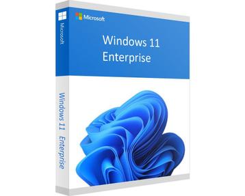 Windows 11 Enterprise - Direct Installeren - Digitaal beschikbaar voor biedingen