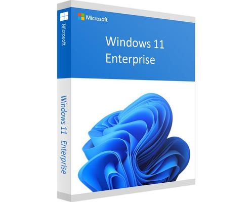 Windows 11 Enterprise - Direct Installeren - Digitaal, Computers en Software, Besturingssoftware, Nieuw, Windows, Verzenden