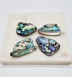 Paua opaal schelp - Zeeopaal, Verzamelen, Ophalen of Verzenden