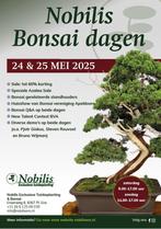 Bonsai; Mei alle zondagen geopend. 24/25 mei Bonsaidagen, Vaste plant, Halfschaduw, Zomer, Ophalen