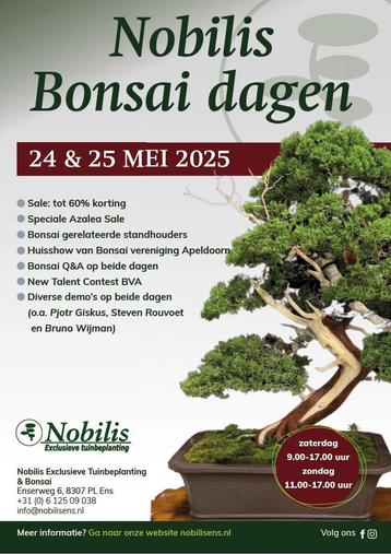 Bonsai; Mei alle zondagen geopend. 24/25 mei Bonsaidagen beschikbaar voor biedingen