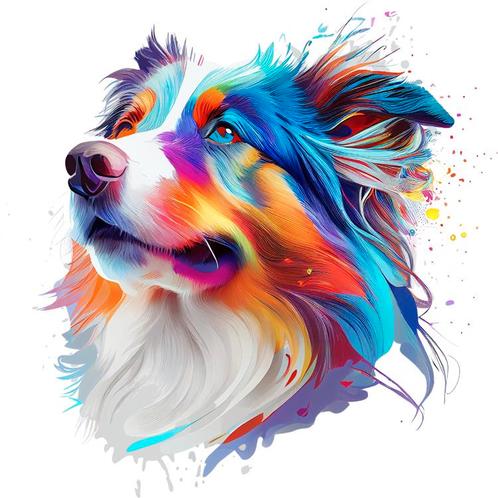 Diamond Painting Set - Hond Border Collie - incl. Pen & Wax, Hobby en Vrije tijd, Knutselen, Nieuw, Ophalen of Verzenden