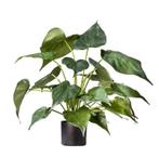 Kunstplant ‘Alocasia’ | 51cm, Huis en Inrichting, Ophalen, Nieuw