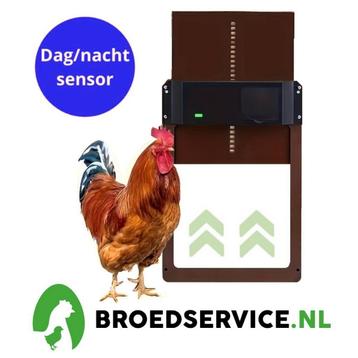 Actie - Automatische kippendeur met lichtsensor - timer en beschikbaar voor biedingen