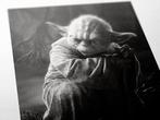 Star Wars Episode V: The Empire Strikes Back « Yoda Master », Nieuw