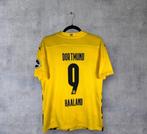 Borrusia Dortmund - Duitse voetbal competitie - Erling, Nieuw