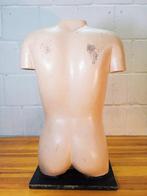 Anatomisch model - Composiet, Gips, Hout - 1960-1970, Antiek en Kunst