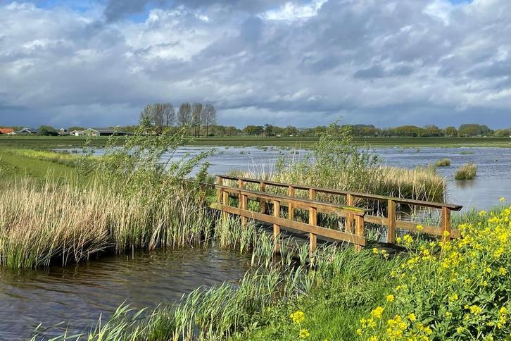 Goedkope Postcrossing kaarten Nederland met korting, Verzamelen, Ansichtkaarten | Nederland, Ongelopen, Verzenden