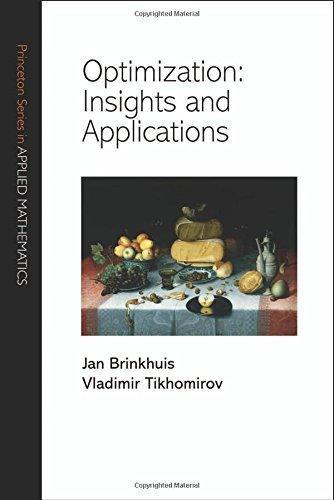 Optimization - Insights and Applications 9780691102870, Boeken, Taal | Engels, Gelezen, Verzenden