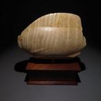 Oud-Egyptisch Albast Canopic jar, Cosmetisch vat in de vorm, Verzamelen