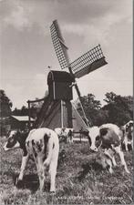 LAAG-KEPPEL - Molen Landschap, Verzenden, Gelopen