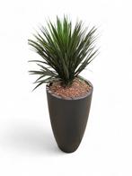 Kunstplant Victoria in sierpot, H155 cm, Overige plaatsen, Ophalen of Verzenden, Gebruikt, Overige typen