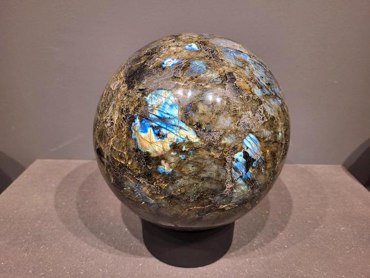 Amethist, Celestien, Septarie, Versteend Hout, Bergkristal., Verzamelen, Mineralen en Fossielen, Ophalen