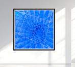 Ben Dauchez - Multi Expo Blue Baloon - XL