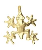 Gouden Boomkikker kettinghanger, Verzenden, Nieuw