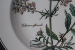 Villeroy & Boch - Bord (8) - Soep bord / diep bord -