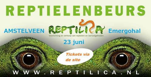 REPTIELENBEURS:  AMSTELVEEN:  23 juni 2024, Dieren en Toebehoren, Reptielen en Amfibieën, Overige soorten, 0 tot 2 jaar, Met terrarium
