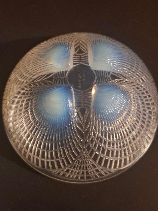 René Lalique - René Lalique - Tafelmiddenstuk - Schaaltje -, Antiek en Kunst, Antiek | Glas en Kristal