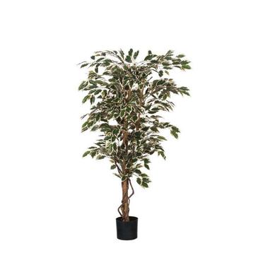 Ficus Kunstplant H150 x Ø75 cm Groen beschikbaar voor biedingen