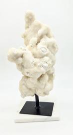 Calciet Wit Ruw op standaard (zie filmpje), Verzamelen, Mineralen en Fossielen, Ophalen of Verzenden