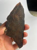 NWA 16900 - meteoriet Primitive achondriet (Brachinite) -