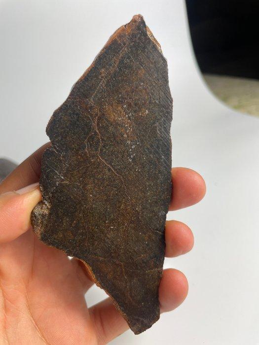 NWA 16900 - meteoriet Primitive achondriet (Brachinite) -, Verzamelen, Mineralen en Fossielen