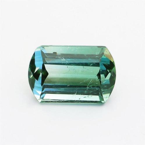 1 pcs Groen Toermalijn - 2.96 ct - International Gemological, Sieraden, Tassen en Uiterlijk, Edelstenen