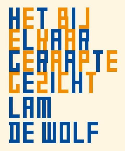 Het bij elkaar geraapte gezicht 9789491738487 Lam de Wolf, Boeken, Kunst en Cultuur | Beeldend, Gelezen, Verzenden
