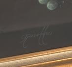 Thomas Heesakkers (1946)