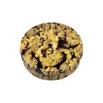 Click-Clack Box - Buds, Ophalen of Verzenden, Nieuw