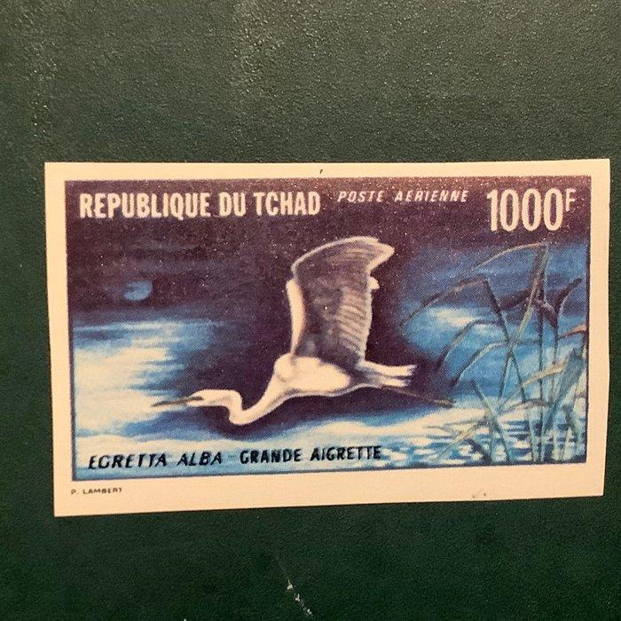 Tsjaad 1961 - Grote witte ooievaar ongetand en gekeurd -, Postzegels en Munten, Postzegels | Europa | Frankrijk