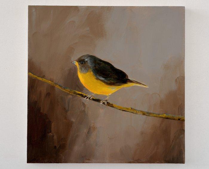 Matthieu van Riel - Bird. Yellow, Antiek en Kunst, Kunst | Schilderijen | Modern