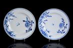 Een paar Chinese blauw-witte Floral borden - geen, Antiek en Kunst