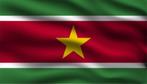 Vlag Suriname 150cm, Nieuw, Verzenden