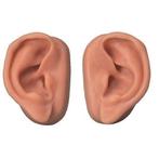 Anatomie model acupunctuur oren, Nieuw