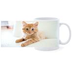 Beker - Kitten Rood op Witte Bank NIEUW, Ophalen of Verzenden, Nieuw