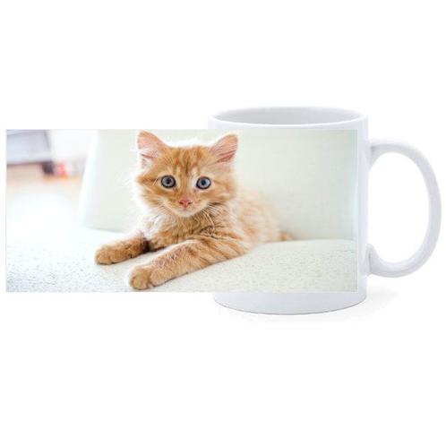 Beker - Kitten Rood op Witte Bank NIEUW, Huis en Inrichting, Keuken | Servies, Nieuw, Ophalen of Verzenden