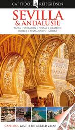 Sevilla & Andalusië / Capitool reisgidsen 9789047518495, Boeken, Reisgidsen, Verzenden, Zo goed als nieuw, David Baird