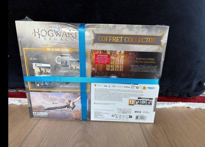 Sony - Playstation 5 (PS5) - Hogwarts Legacy + 2 authentic, Spelcomputers en Games, Spelcomputers | Overige Accessoires