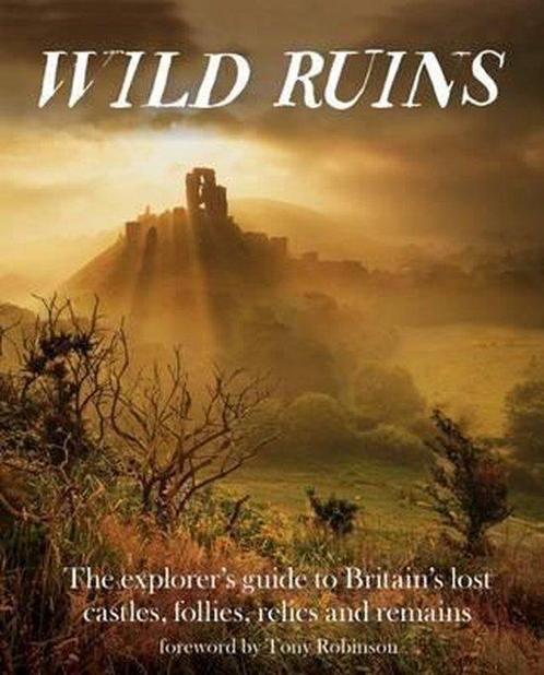 9781910636022 Wild Ruins Dave Hamilton, Boeken, Studieboeken en Cursussen, Nieuw, Verzenden