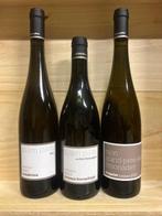 Domaine Julien Pilon Condrieu Lône, Crozes-Hermitage On The, Nieuw