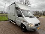 Degelijke Mercedes 2-paards paardenwagen met Alu bodem!, Ophalen, Zo goed als nieuw, Aluminium, 2-paards trailer