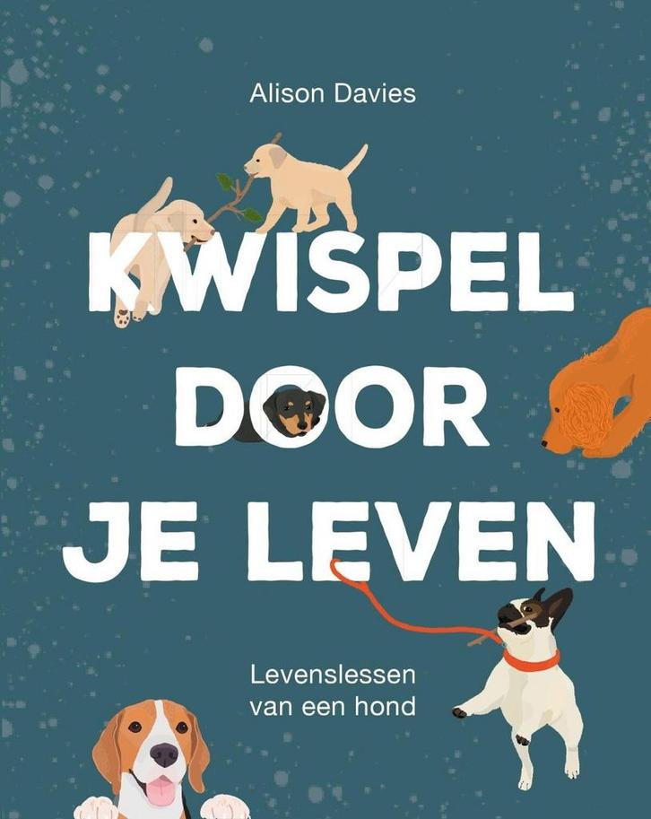 Kwispel door je leven (9789000371037, Alison Davies), Boeken, Strips | Comics, Nieuw, Verzenden