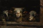 Willem Hendrik van der Nat (1864–1929) - Schapenkoppen, Antiek en Kunst, Kunst | Schilderijen | Klassiek