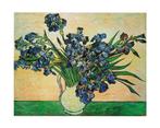 Kunstdruk Vincent Van Gogh - Iris Strauss, 1890 50x40cm, Verzenden, Nieuw